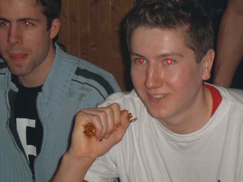 Bild vergr&ouml;ssern