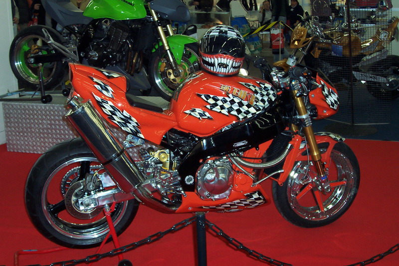 Bild vergr&ouml;ssern