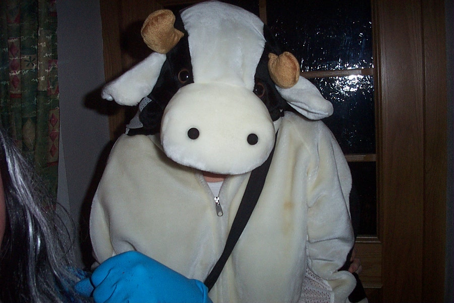 Bild vergr&ouml;ssern