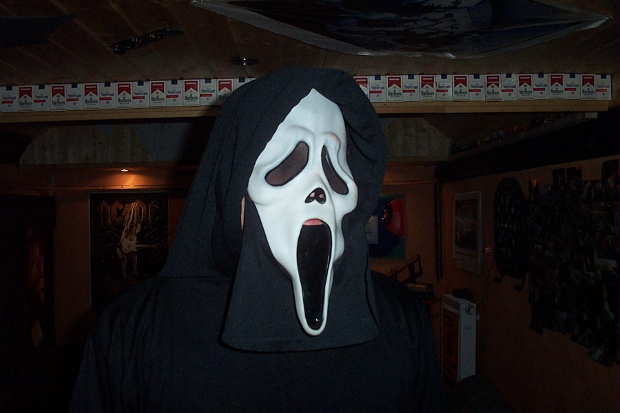 Bild vergr&ouml;ssern