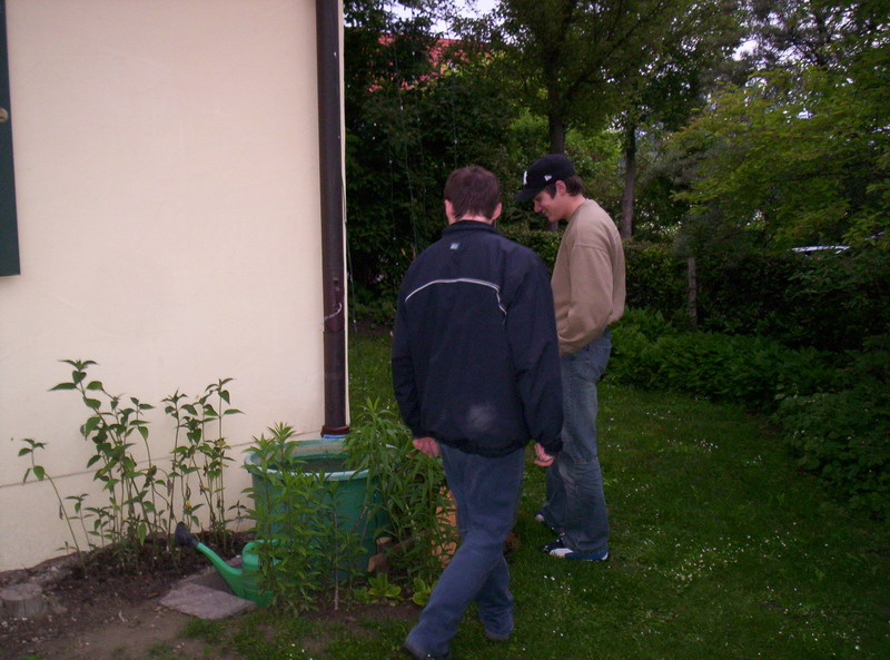 Bild vergr&ouml;ssern