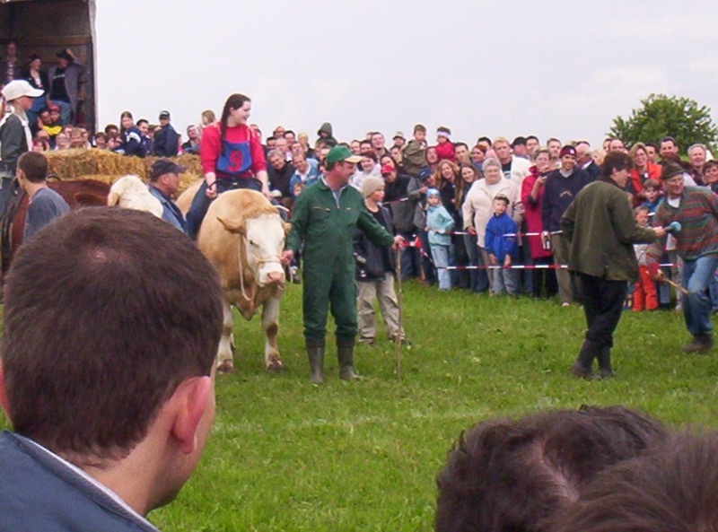 Bild vergr&ouml;ssern