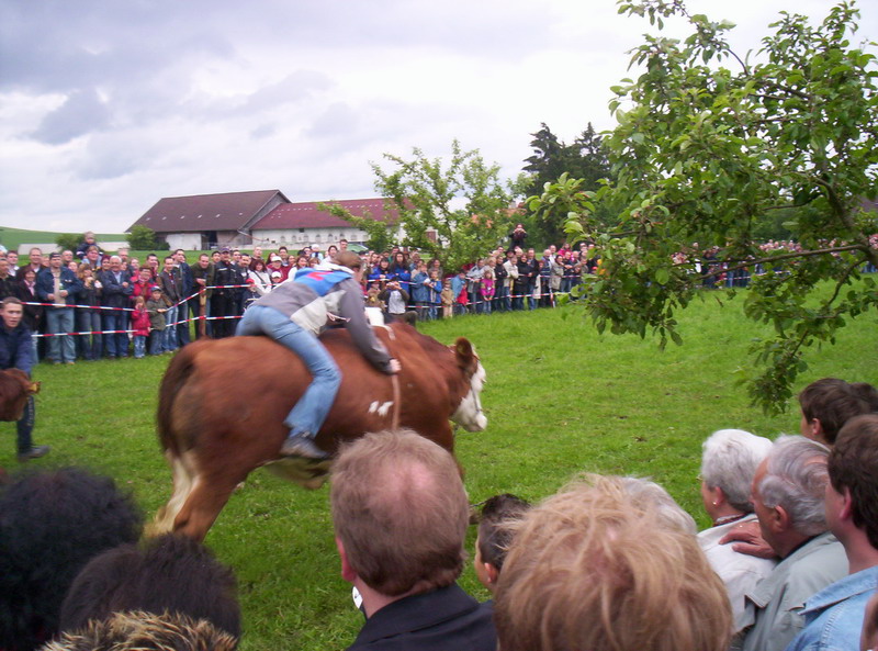 Bild vergr&ouml;ssern