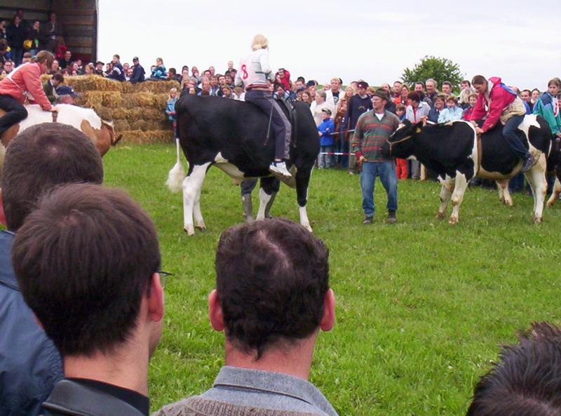 Bild vergr&ouml;ssern