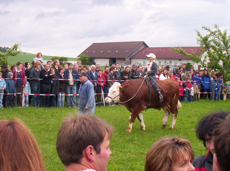 Bild vergr&ouml;ssern