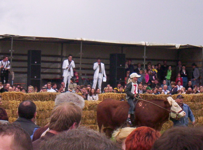 Bild vergr&ouml;ssern