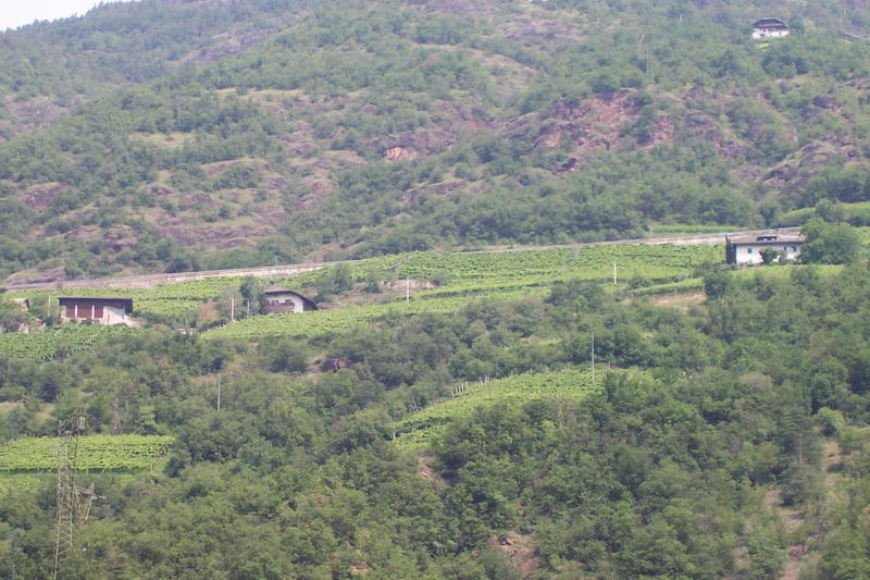 Bild vergr&ouml;ssern