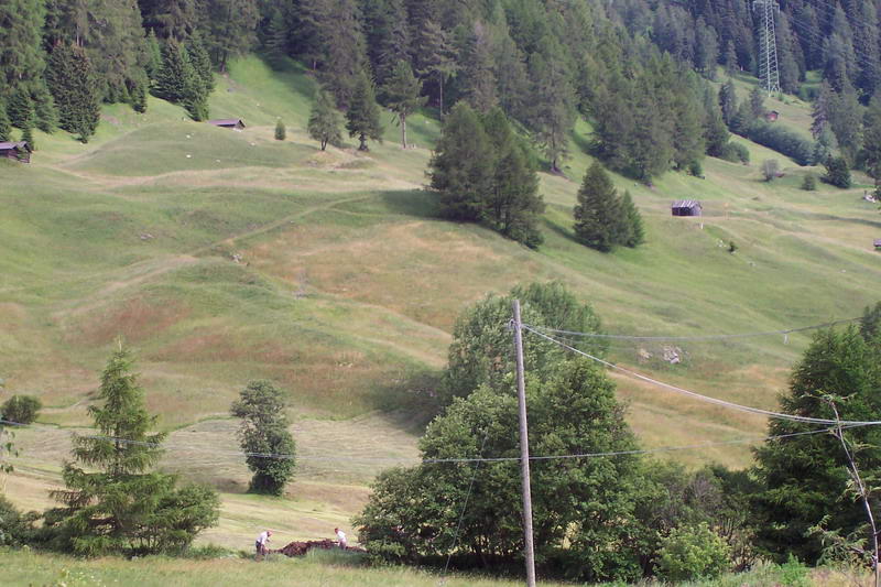 Bild vergr&ouml;ssern