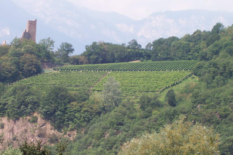 Bild vergr&ouml;ssern