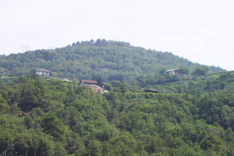 Bild vergr&ouml;ssern