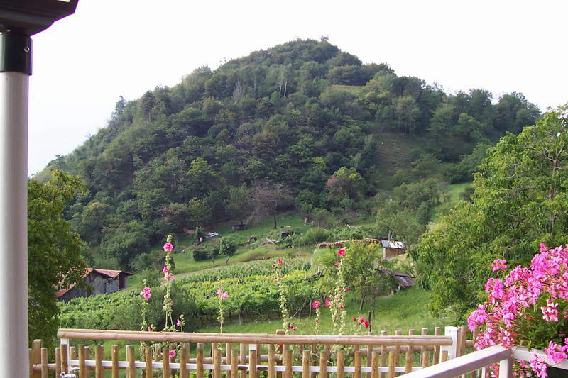 Bild vergr&ouml;ssern