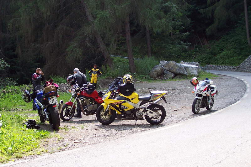 Bild vergr&ouml;ssern