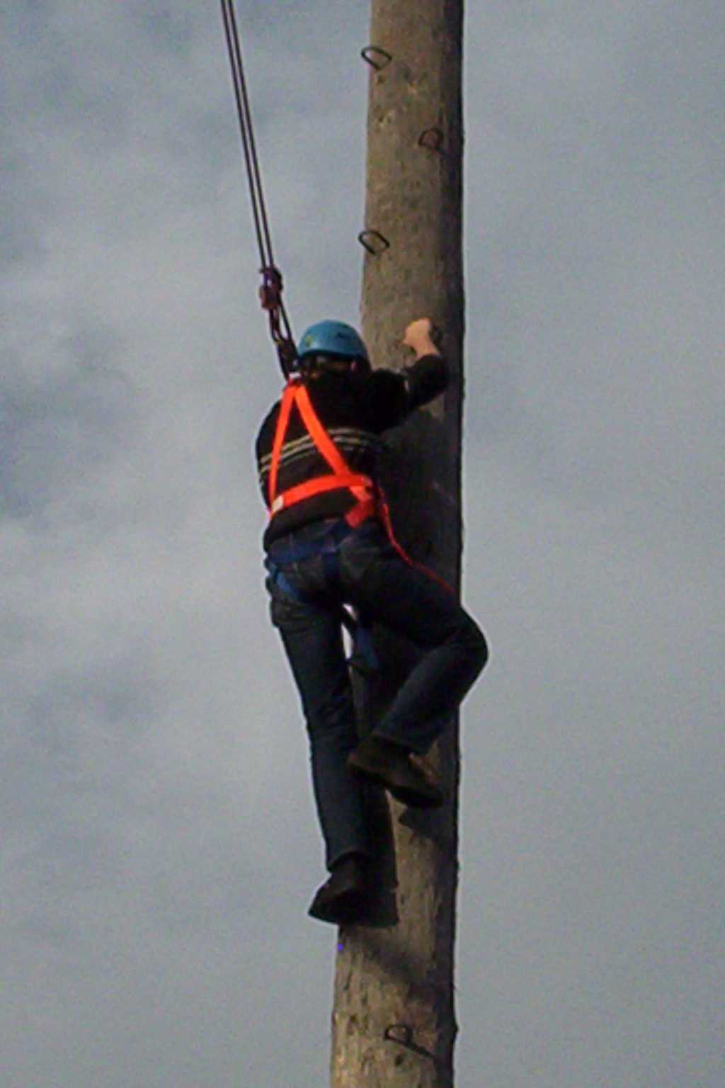 Bild vergr&ouml;ssern