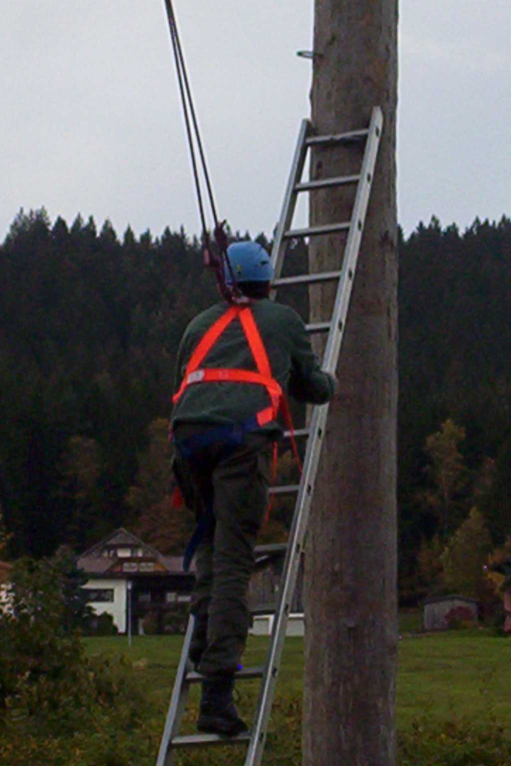 Bild vergr&ouml;ssern