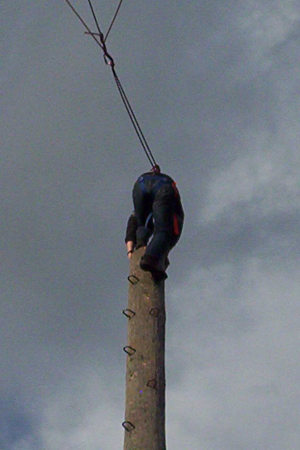 Bild vergr&ouml;ssern