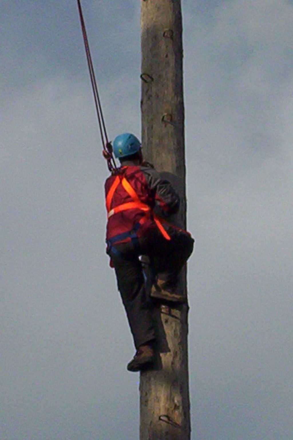 Bild vergr&ouml;ssern