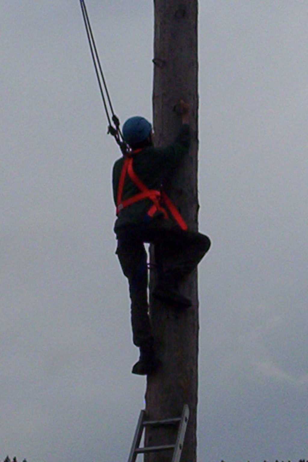 Bild vergr&ouml;ssern