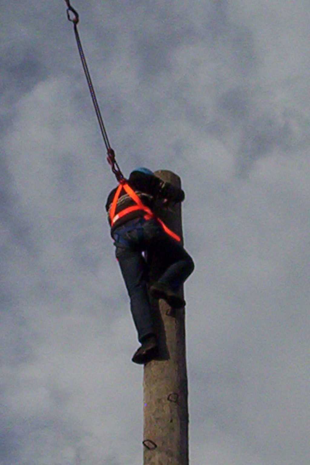 Bild vergr&ouml;ssern