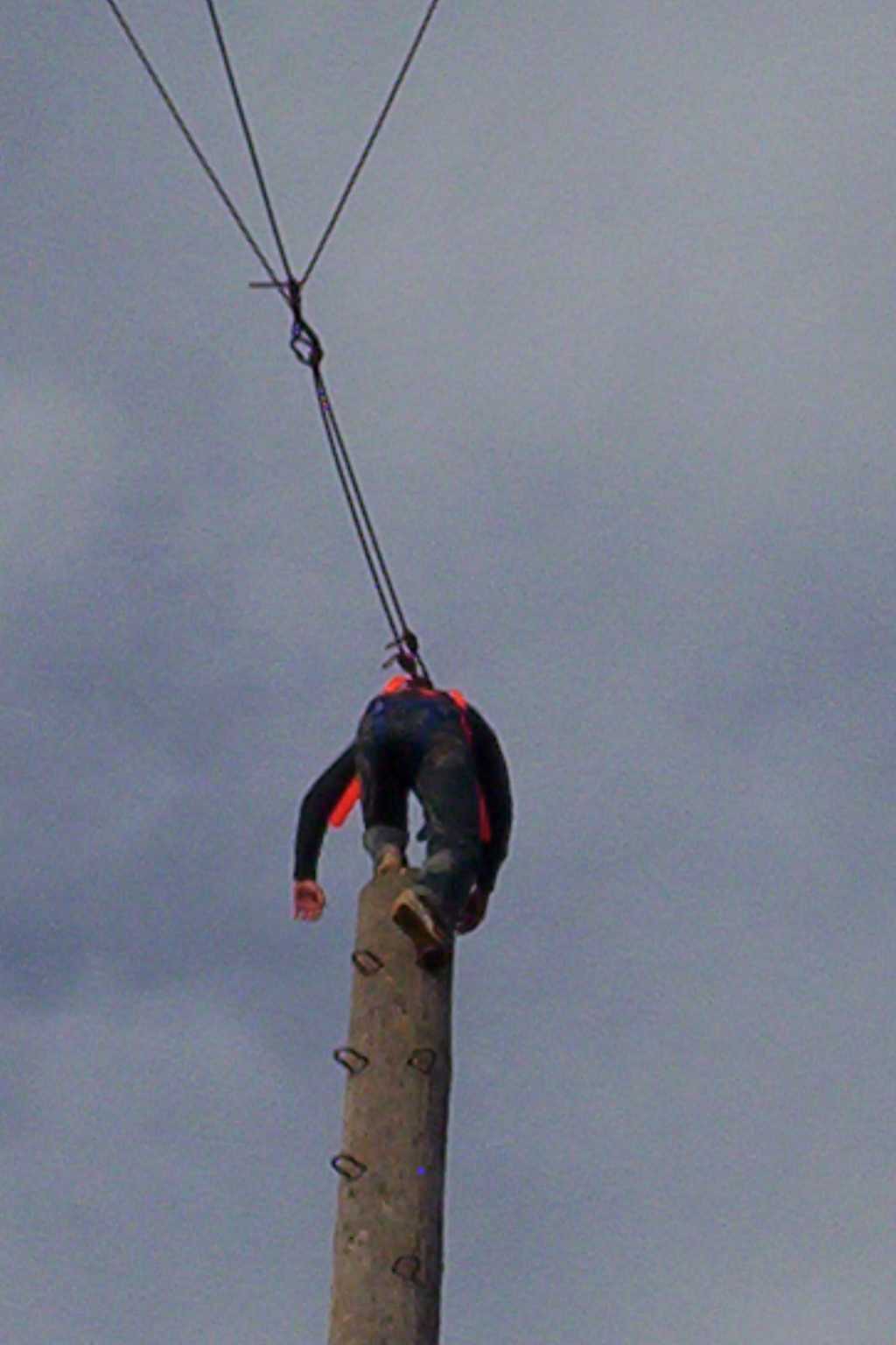 Bild vergr&ouml;ssern