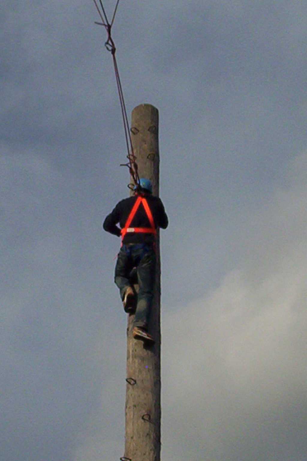 Bild vergr&ouml;ssern