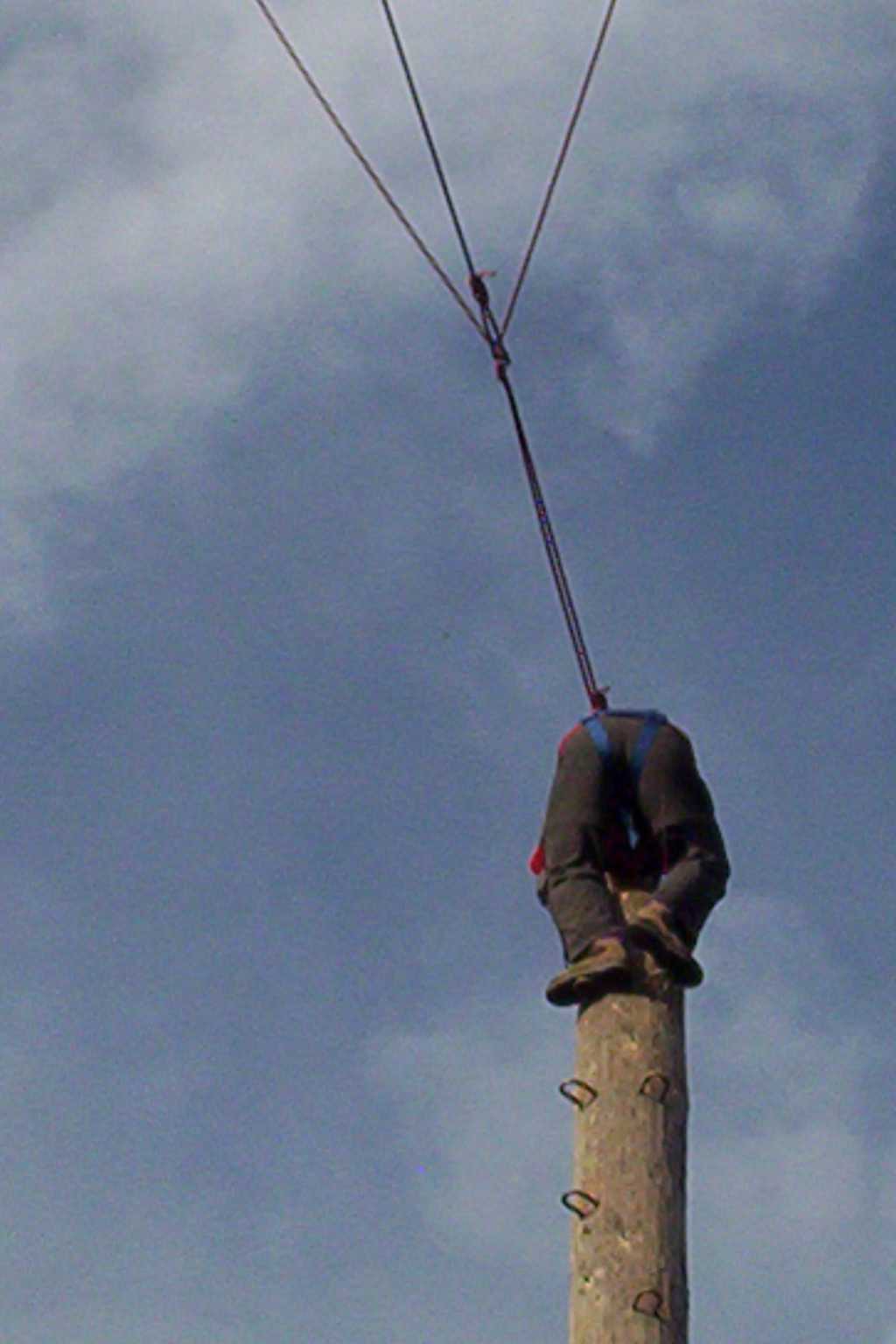 Bild vergr&ouml;ssern