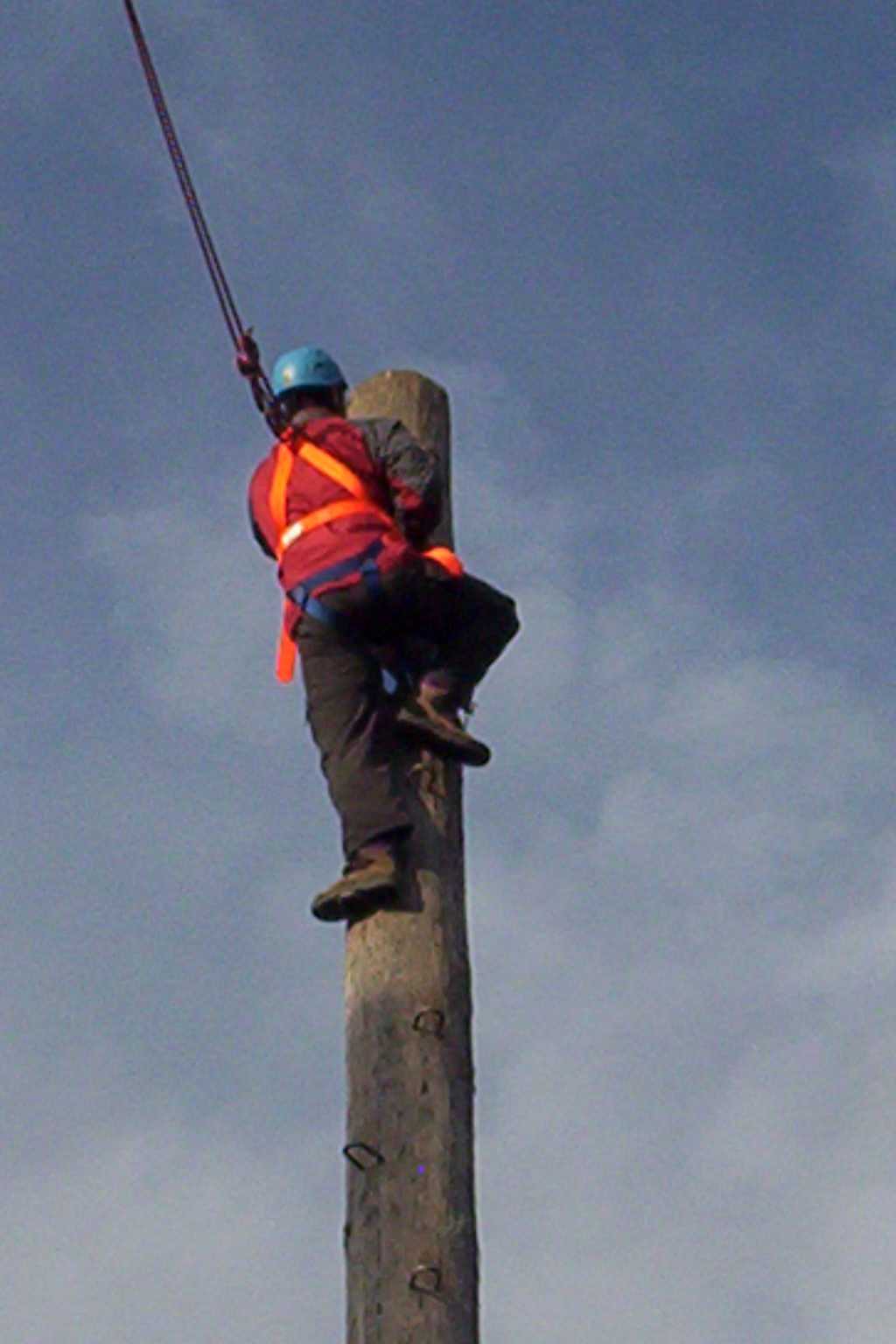 Bild vergr&ouml;ssern