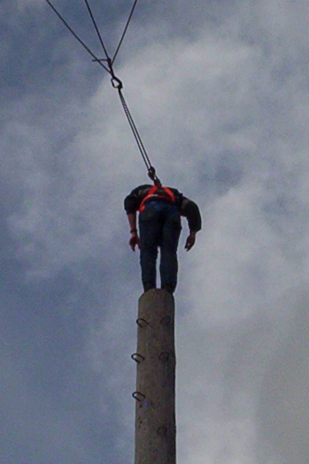 Bild vergr&ouml;ssern