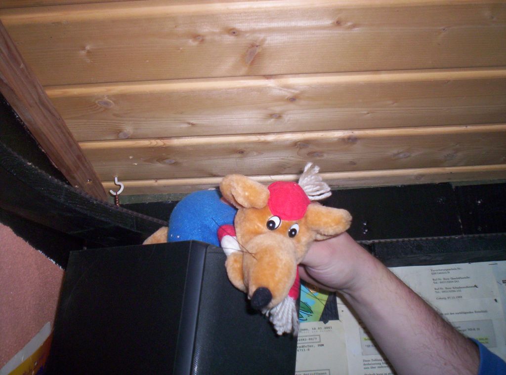 Bild vergr&ouml;ssern