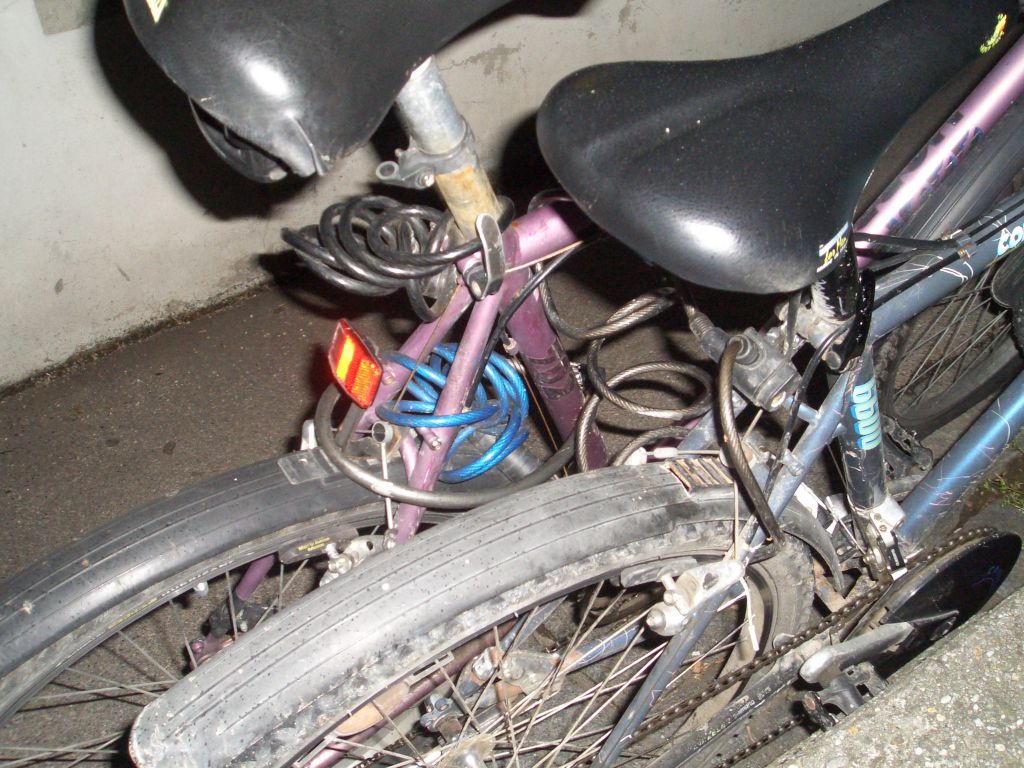 Bild vergr&ouml;ssern