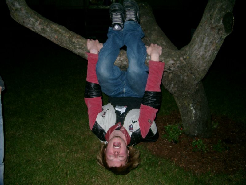 Bild vergr&ouml;ssern