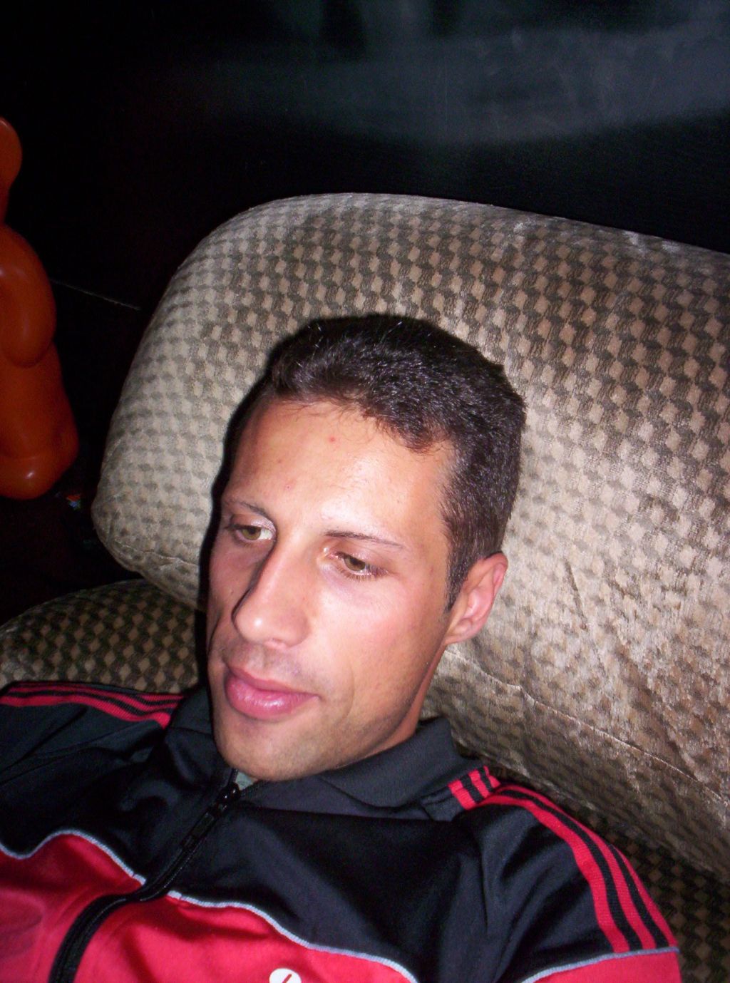 Bild vergr&ouml;ssern