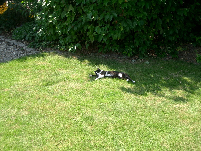 Bild vergr&ouml;ssern