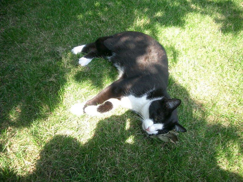 Bild vergr&ouml;ssern