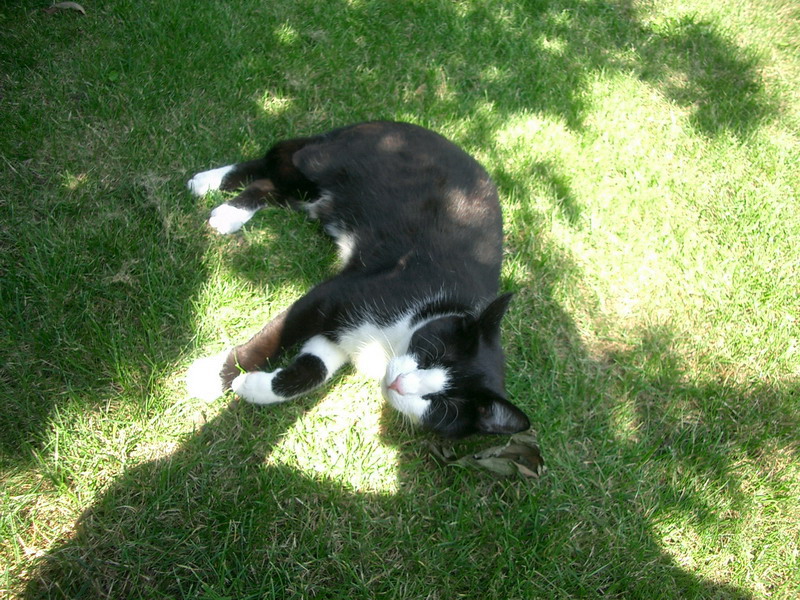 Bild vergr&ouml;ssern