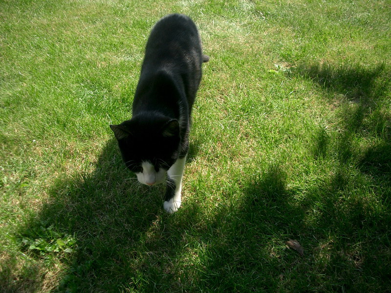 Bild vergr&ouml;ssern