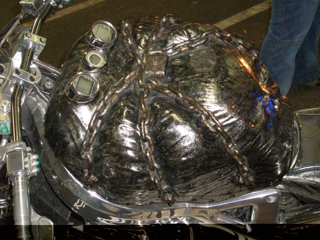 Bild vergr&ouml;ssern