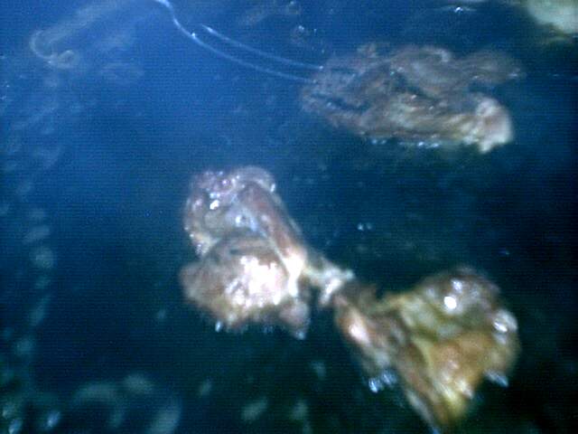 Bild vergr&ouml;ssern