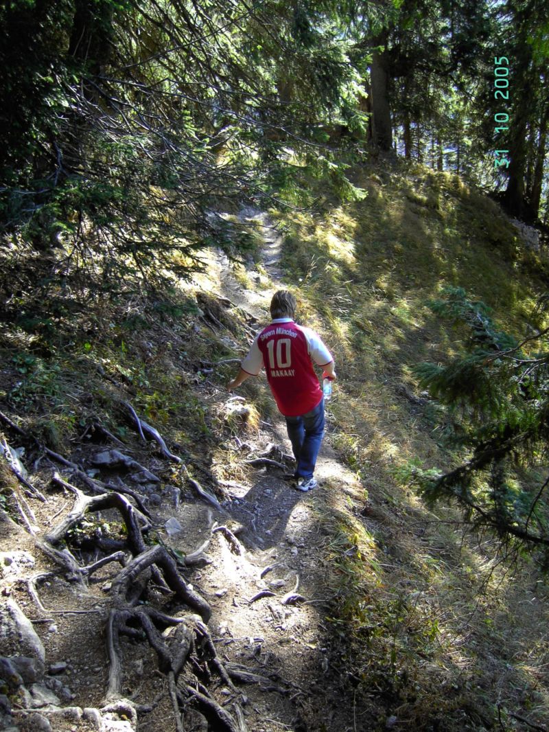 Bild vergr&ouml;ssern