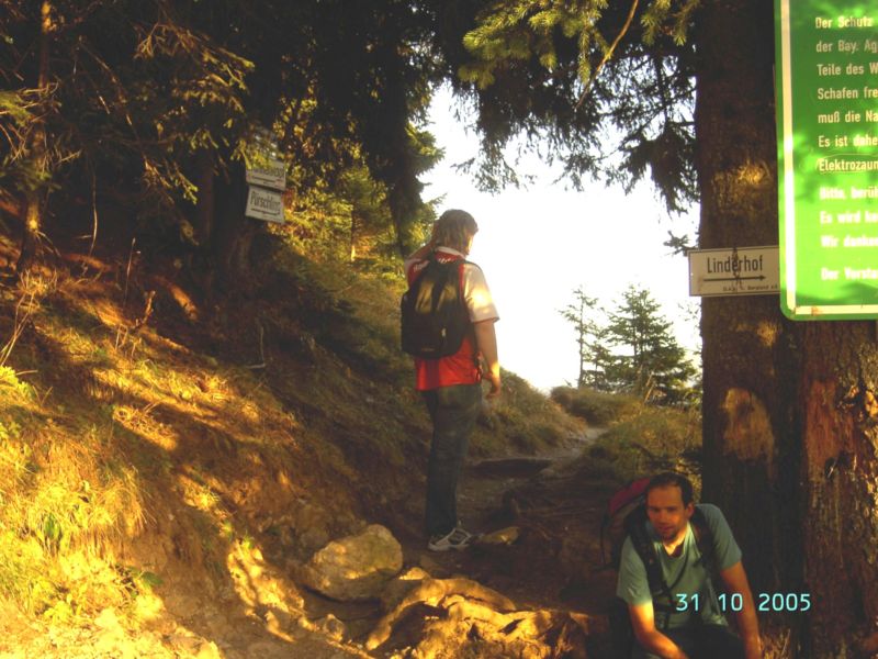 Bild vergr&ouml;ssern