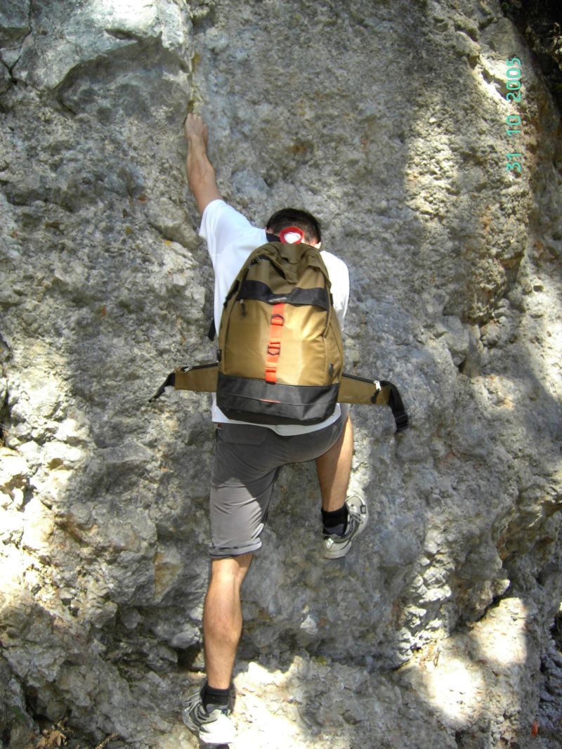 Bild vergr&ouml;ssern