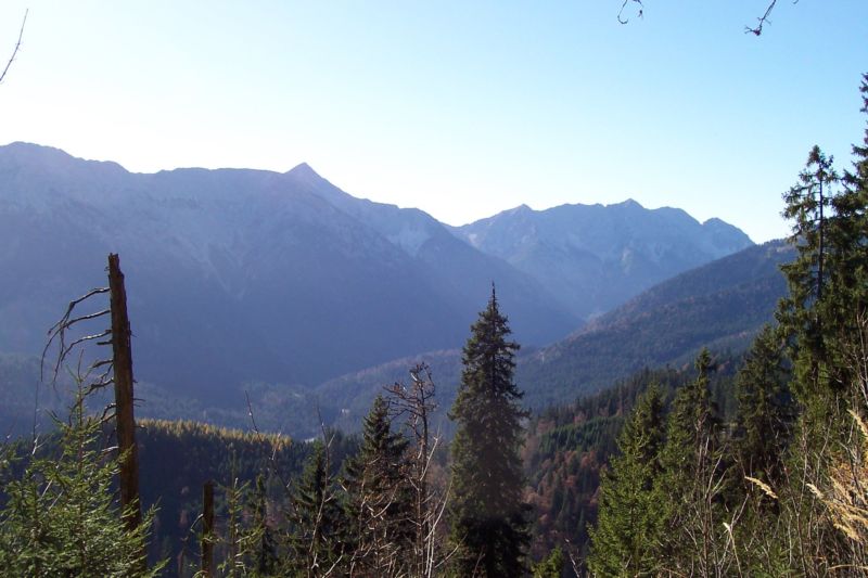 Bild vergr&ouml;ssern