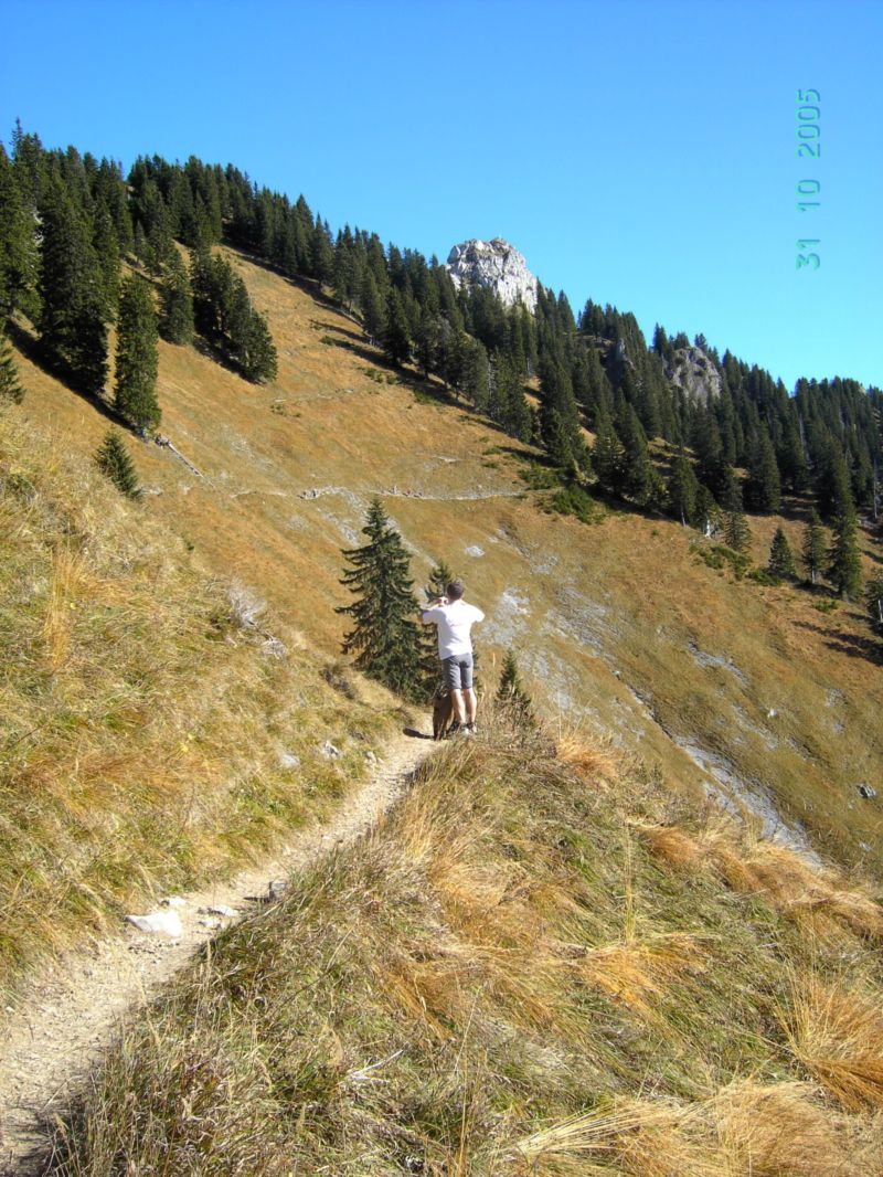 Bild vergr&ouml;ssern