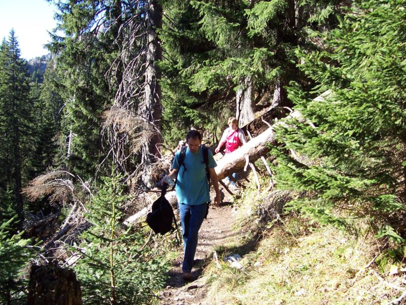 Bild vergr&ouml;ssern