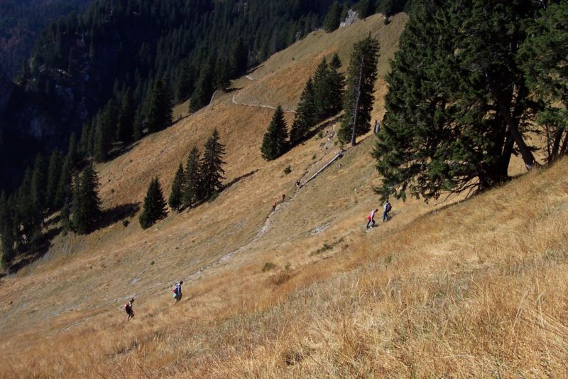 Bild vergr&ouml;ssern