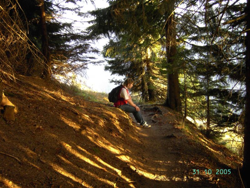 Bild vergr&ouml;ssern