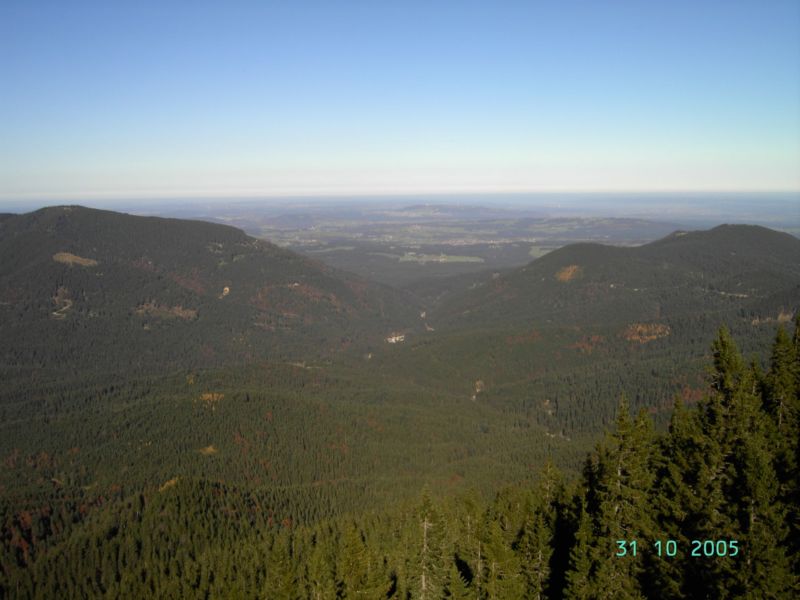 Bild vergr&ouml;ssern