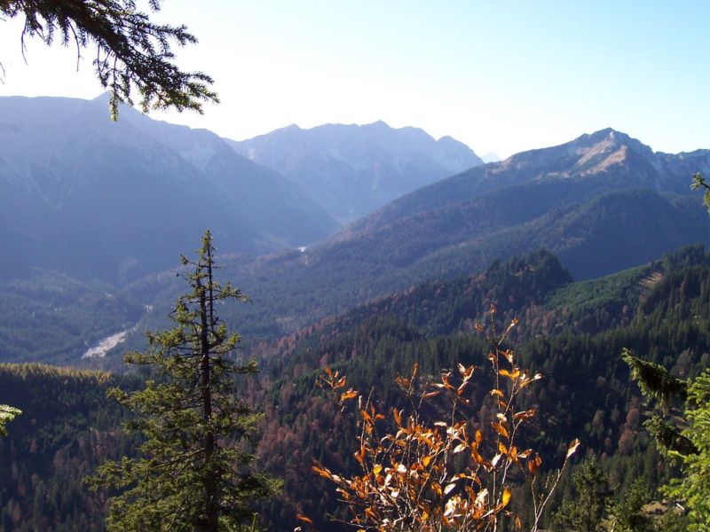 Bild vergr&ouml;ssern