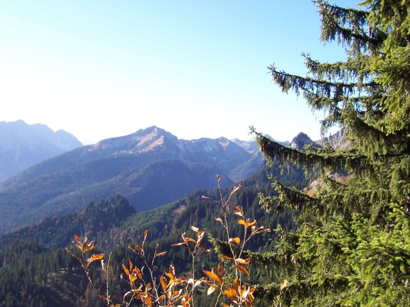 Bild vergr&ouml;ssern