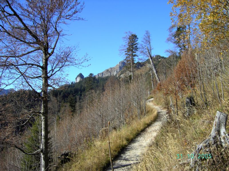 Bild vergr&ouml;ssern