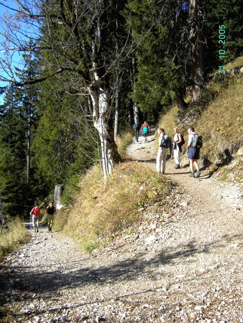 Bild vergr&ouml;ssern